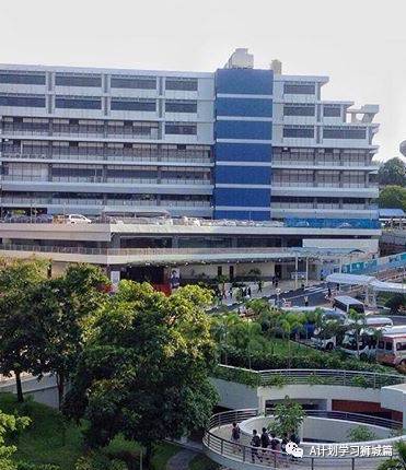 新加坡六所公立大學、工教院和理學院,今年繼續爲應屆畢業生免費培訓