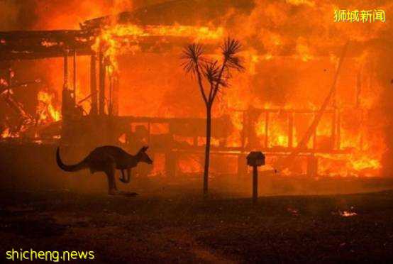 2020年，真的太難了