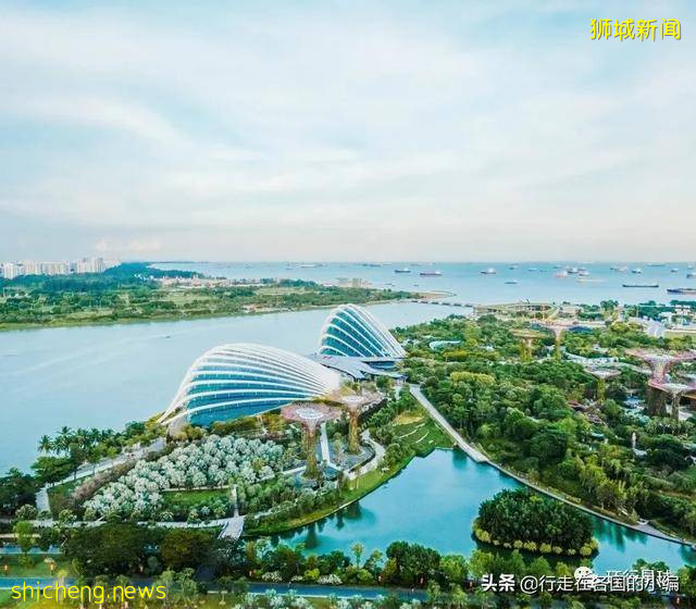 不穿衣服被邻居看到,应该罚款么?爱罚款的新加坡规定你知道多少