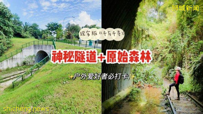 现实版《千与千寻》同款神秘隧道，直接通到Clementi Forest原始森林
