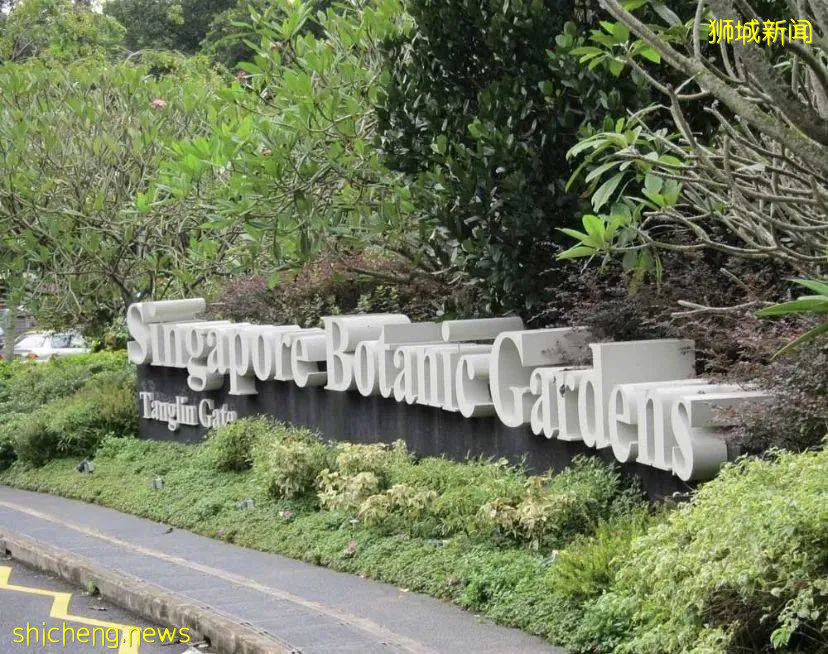 新加坡地鐵超全攻略！帶你玩轉獅城