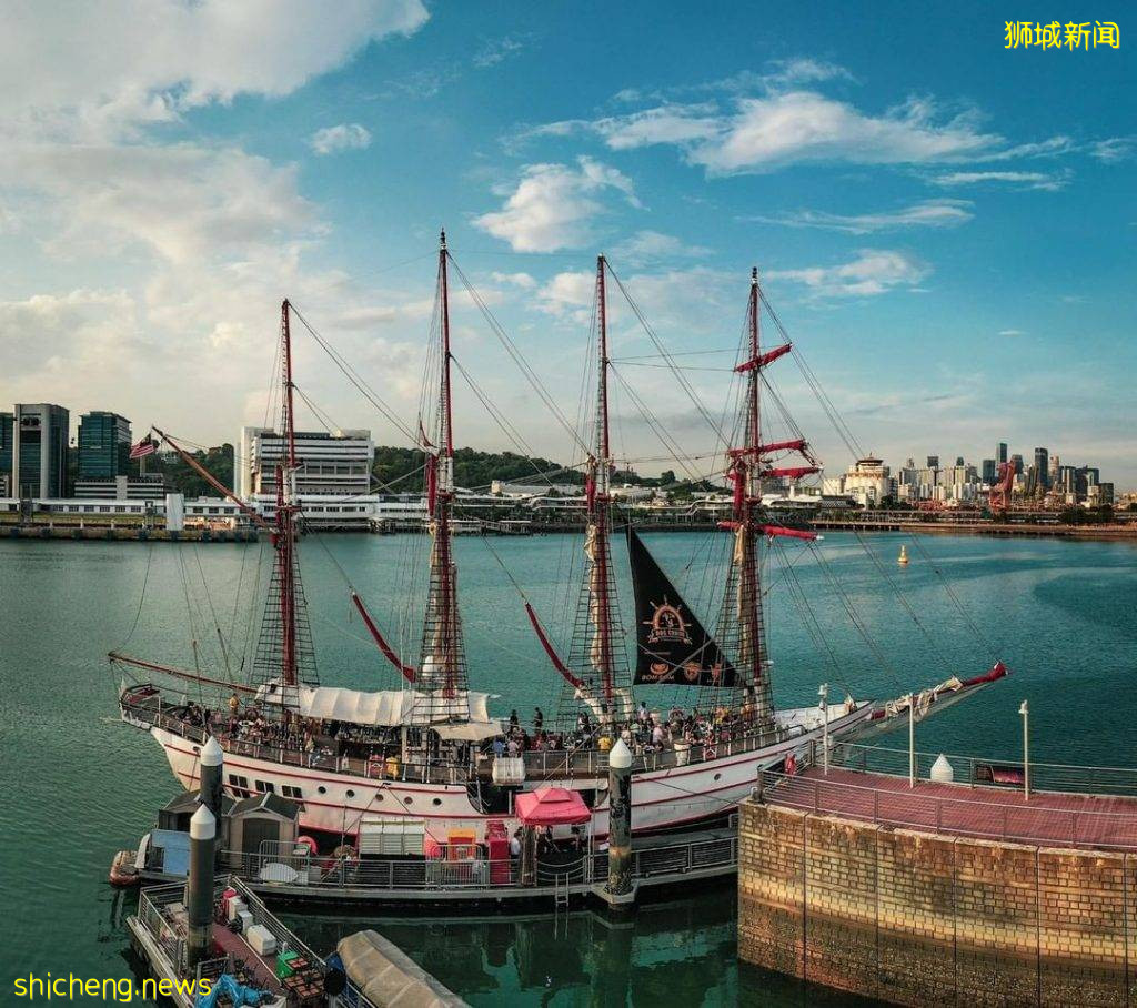 带上宠物去郊游！全亚洲首个“狗狗巡游”就在Royal Albatross⛵️萌宠陪你看日落吃大餐🥰 