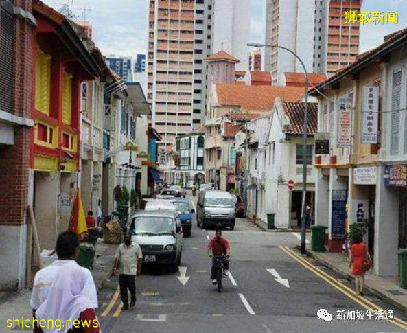 新加坡作为“花园城市”，为啥少见蚊子？当地人煞费苦心