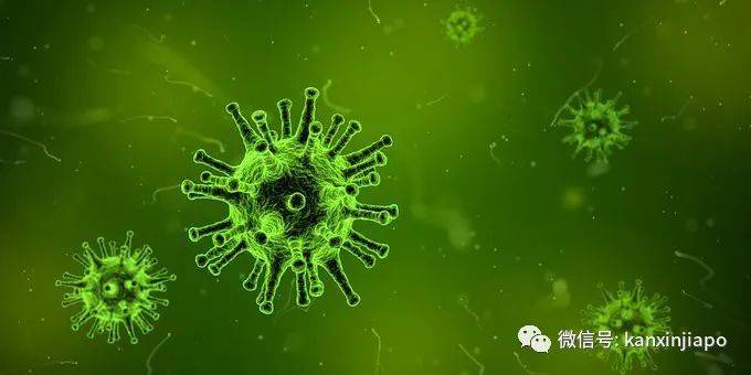 新加坡卫生部回应疫苗副作用,接种者爆全经历