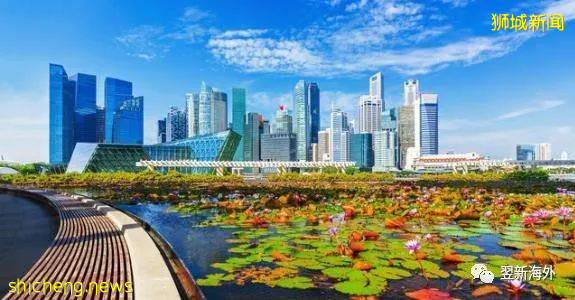 關于新加坡的15個事實，是怎樣的!