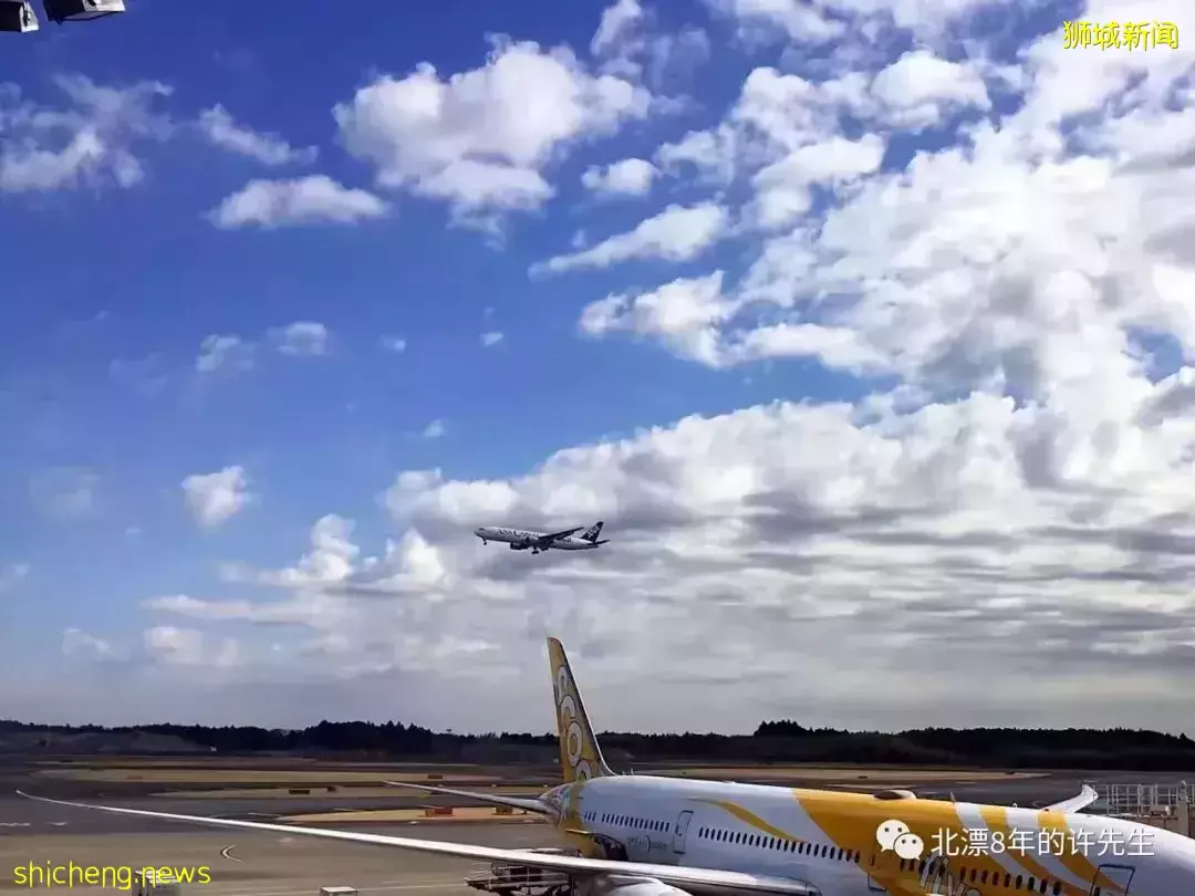 狮城丨新加坡(生活篇三)