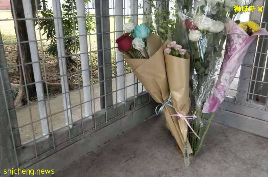 立化中学命案16岁凶手患有心理疾病,同学们为遇难同学献花哀悼