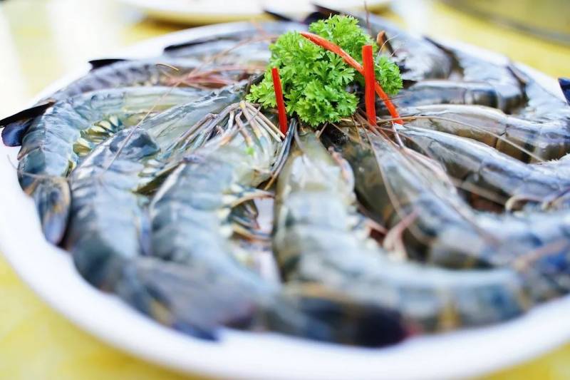 波士頓龍蝦免費吃!新加坡這家人均不過30的海鮮店又要逆天了