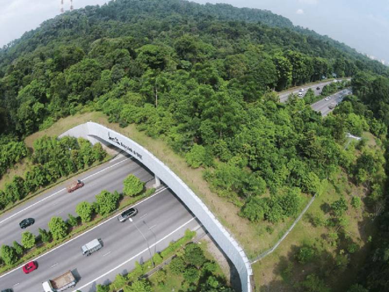 獅城DNA 從荒蕪到花園——新加坡的綠色逆襲之路