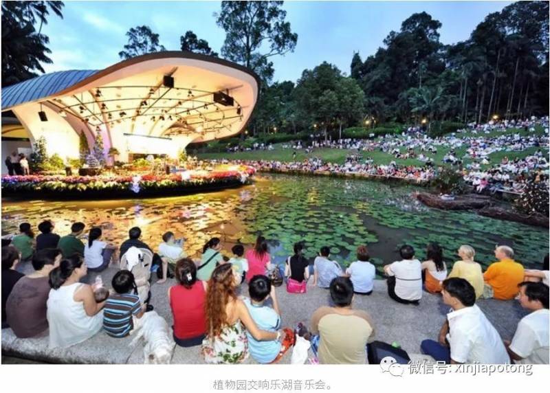 疫情後，新加坡又多了這些億萬富豪！有幾個中國來的