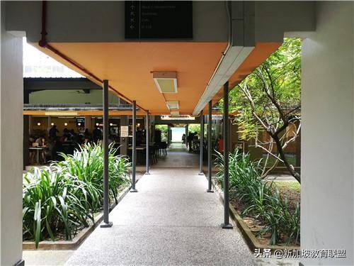 新加坡PSB学院真的很水吗？你一旦知道这些后就会打消这个想法