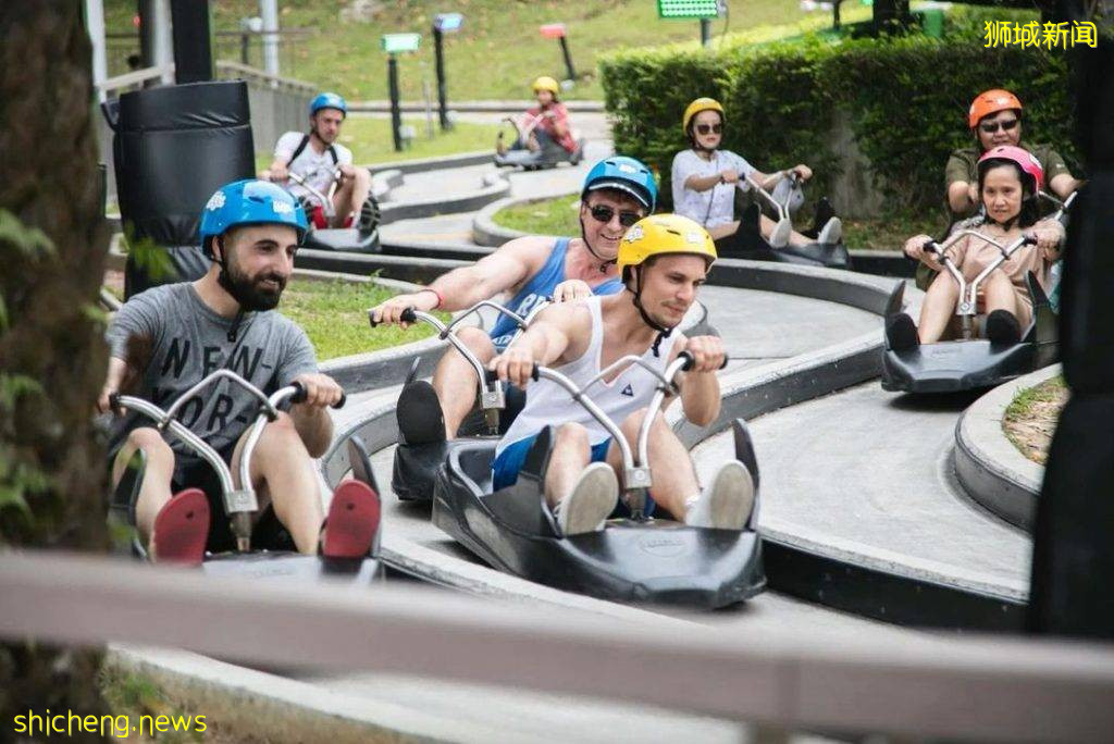 不一樣的賽車😎 聖淘沙天際滑車“Skyline Luge”一次只要S$7.50💥 乘坐高空吊椅登山一路狂飙