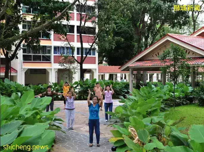 新加坡男子帮中国老婆申请LTVP时干了这件事，被罚8000新币