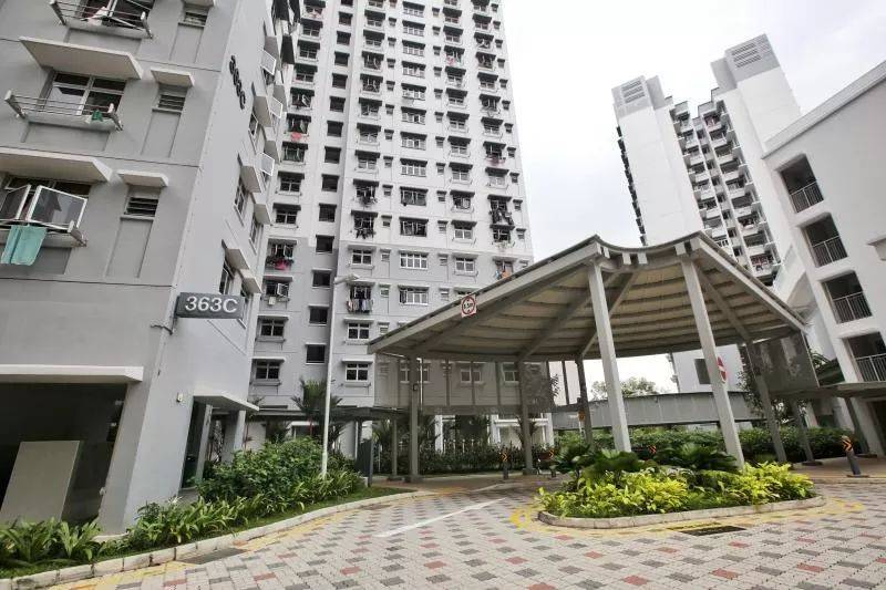 爱猫女在组屋楼下喂猫，被“警察”掴巴掌