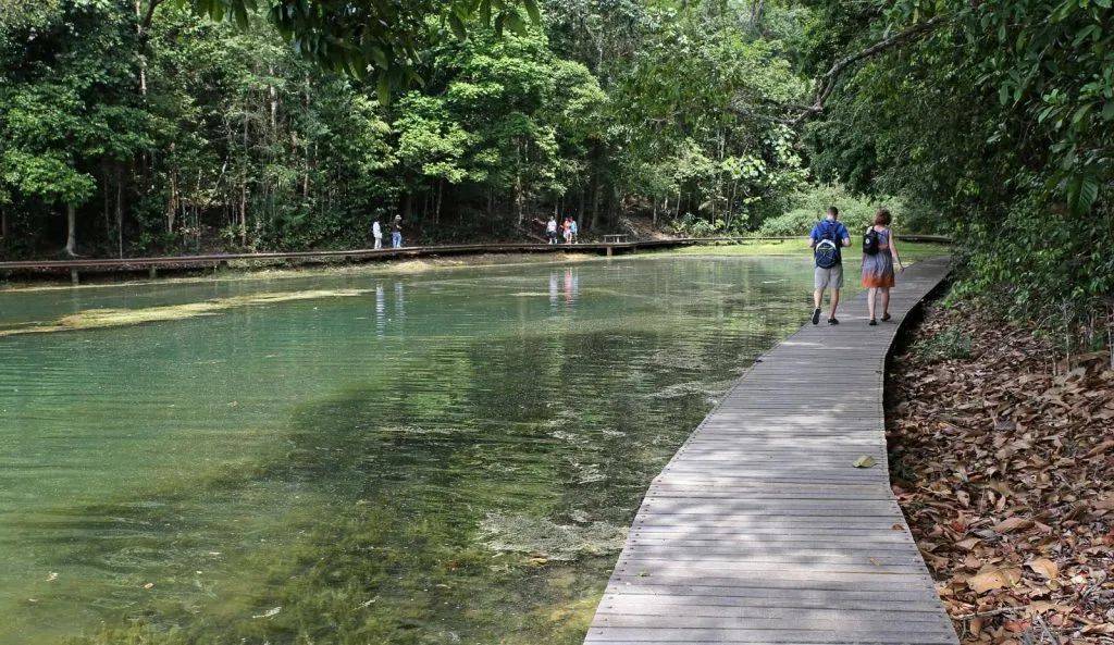 這個周末去徒步吧！（朋友攜伴、親子活動）