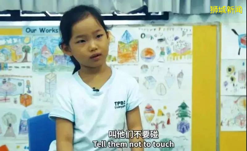 惊!国内难以启齿的问题,在新加坡竟公然开课