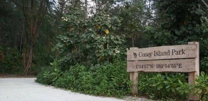 休闲徒步的好去处“科尼岛”值得一游