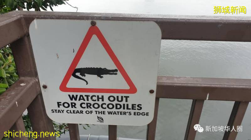 何時能從新加坡回家看家人，好久不見，你還好嗎？這麽近那麽遠!