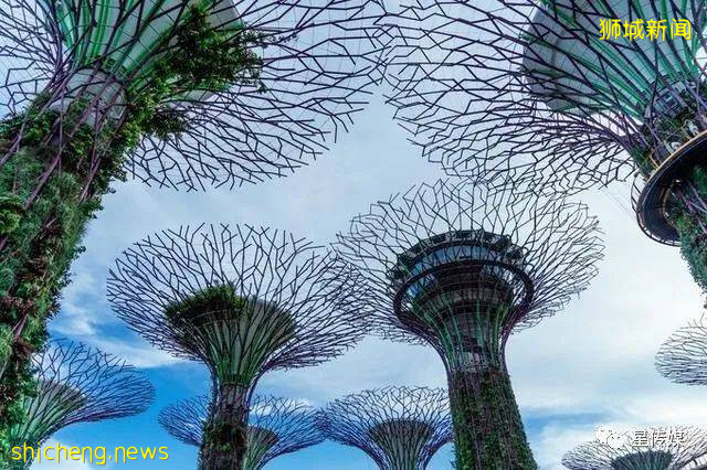 多味缤紛新加坡，旅遊攻略收藏貼