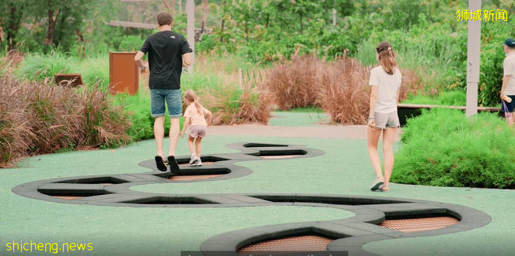 女皇镇将试点建设健康卫生区