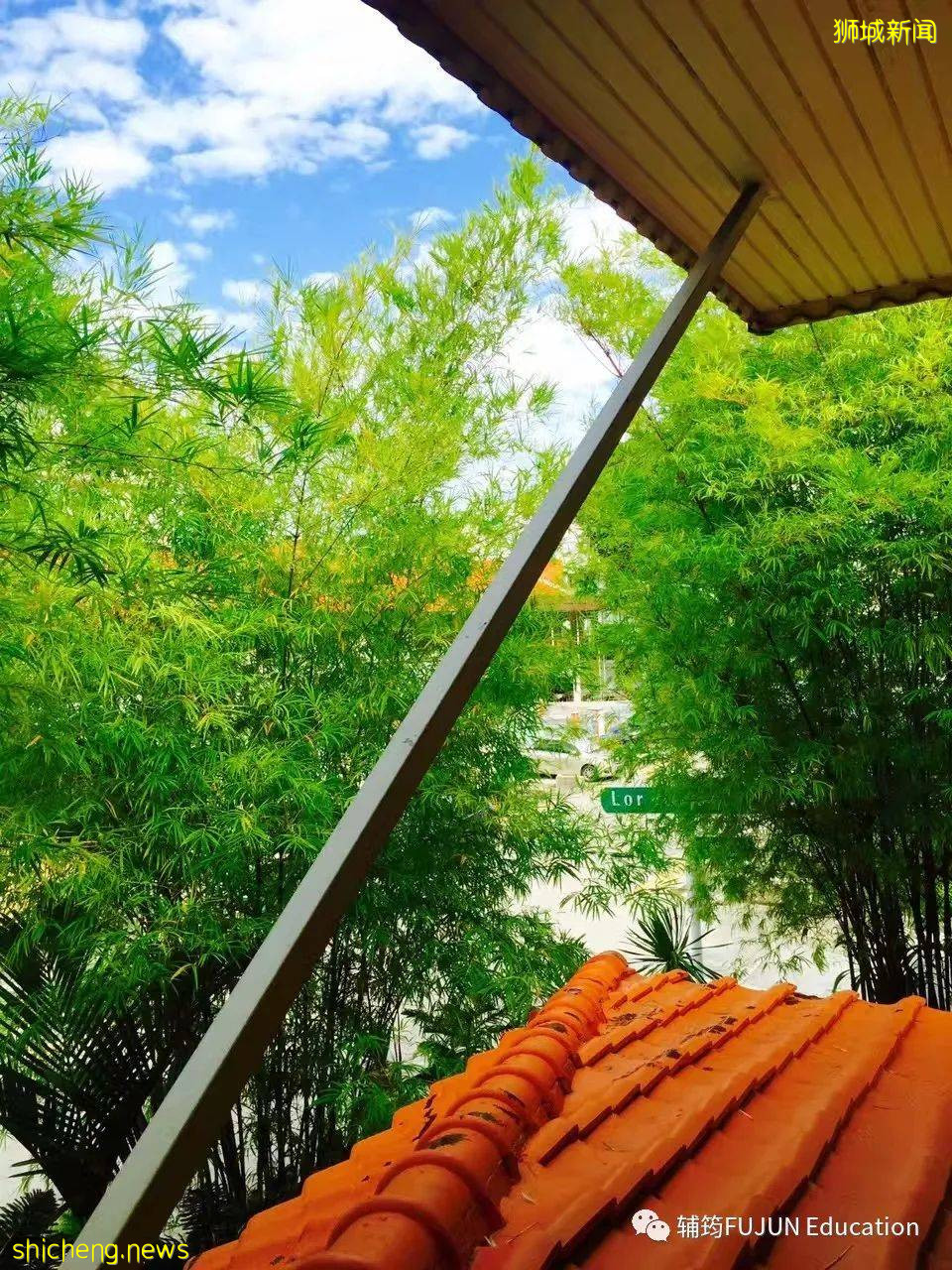 跟着小筠去游玩——新加坡的吃喝玩乐(上篇)