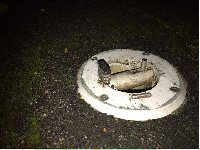 公园夜跑被绊倒,新加坡政府处理流程全记实