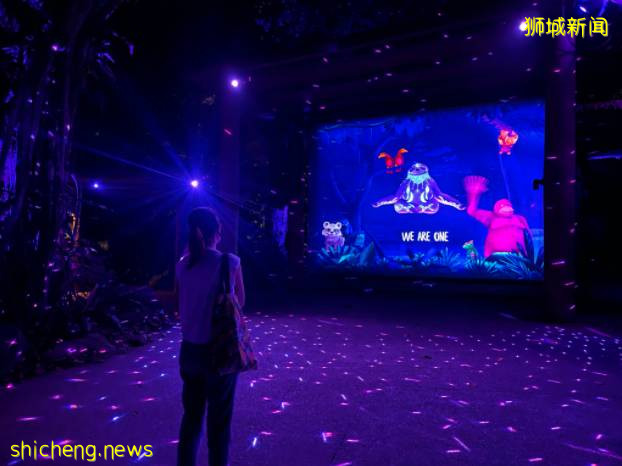 7月底有望8人聚會！新加坡這些好玩的地方已經悄悄開啦