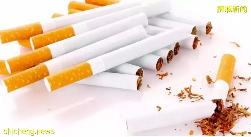 入境新加坡香烟又双叒叕难啦！网友亲测：一根都不行