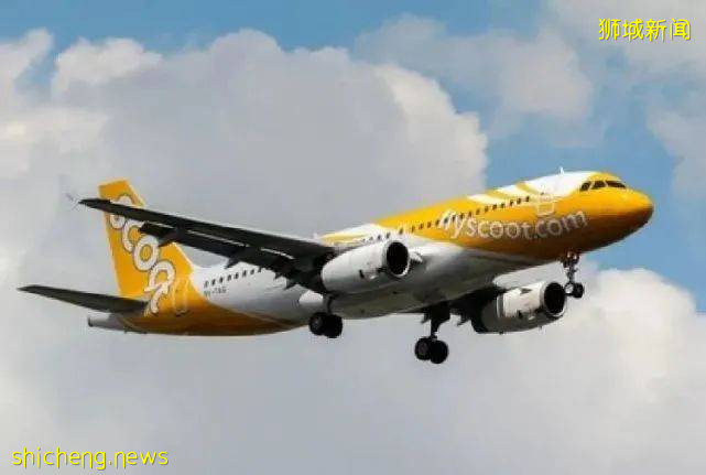 他們是新加坡輸入病例