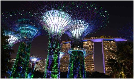 新加坡14+7的居家隔離!中國來的長期准證持有者爲啥不需要