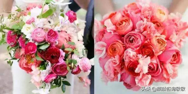 新加坡10個世界最便宜