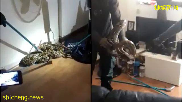 這樣的新加坡真是待不下！去！了