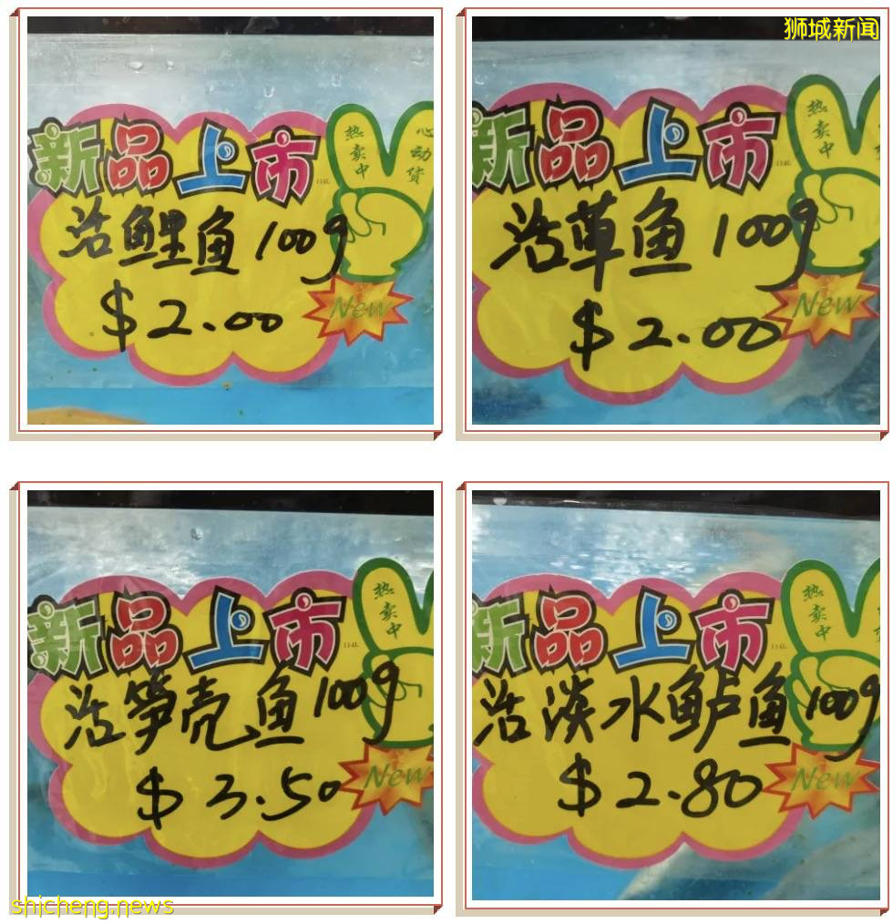 新加坡解封後,遛娃+逛街兩不誤!首家免費“水族館”來了