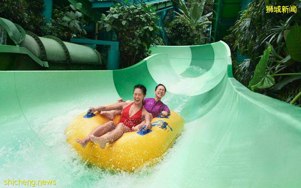 雙11優惠來襲💥豪華酒店買一送一, 環球影城、水上樂園、聖淘沙海洋館低價促銷