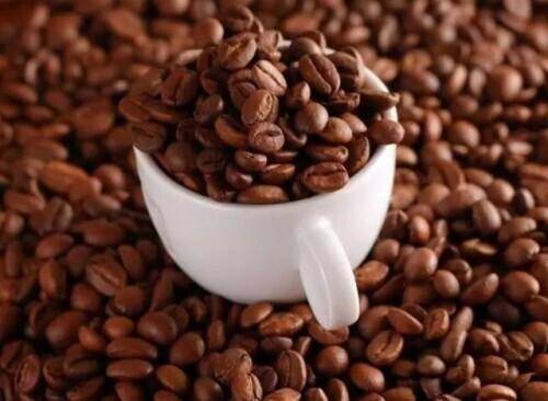 印度船员搁浅了新加坡管理的中国台湾货船,日本人道歉了