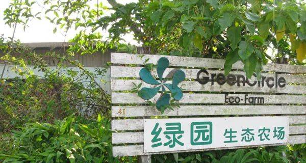 種水稻，摘蘑菇，新鮮蘆荟飲品！藏在新加坡的7大蔬菜農場我找到啦