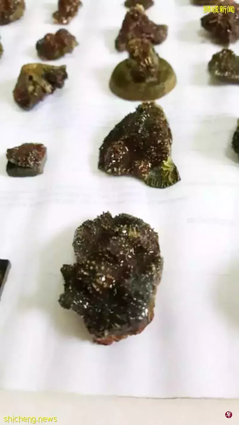 獅城國會通過修正案 加重販賣瀕危物種刑罰