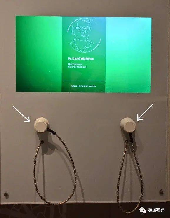 恐龍化石、抹香鯨骨架、初代巨星阿明……100W+動植物標本竟然藏在新加坡這個地方