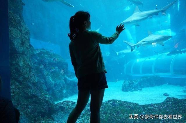 新加坡不枉此行的10大看點（中）分三集介紹