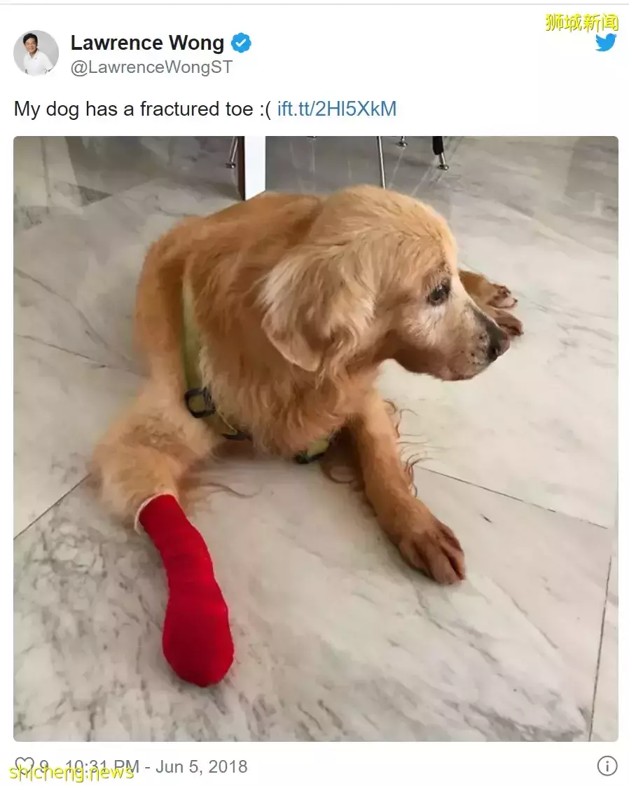 新加坡總理李顯龍: 這是一個重要決定!下一屆總理爲什麽是他