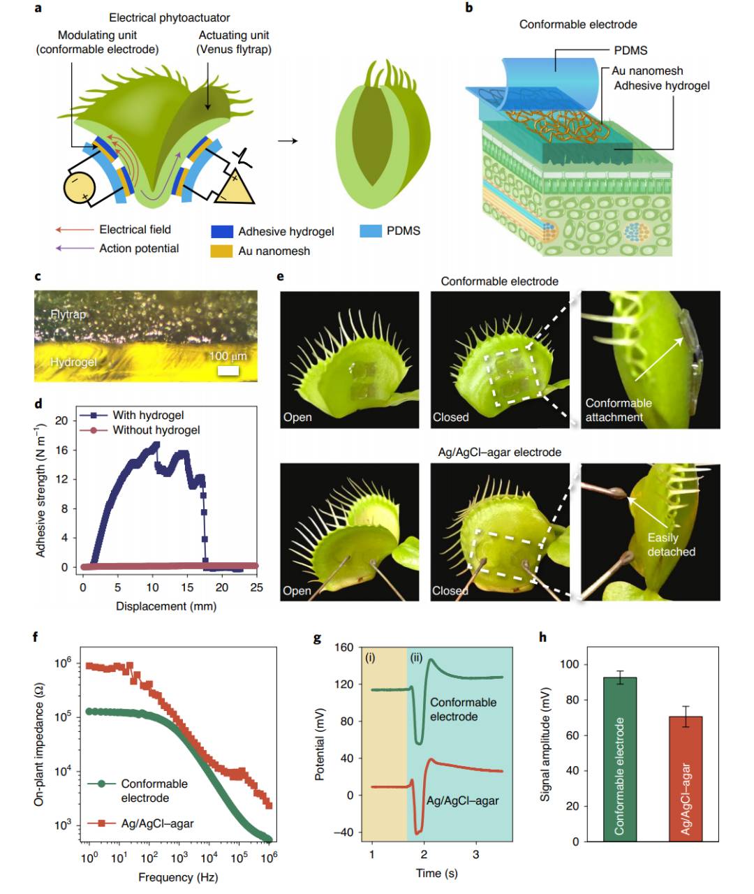 南洋理工大學團隊開發溝通裝置,能讓植物“張嘴說話”