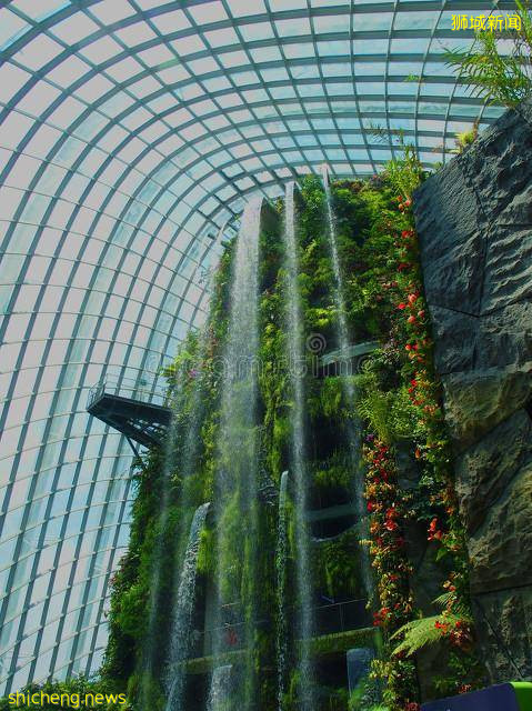 新加坡｜新加坡冷知识，关于21件你不知道的事