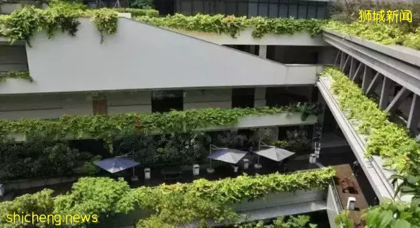 让“碳中和”城市化？亚洲最绿色城市是这么做的