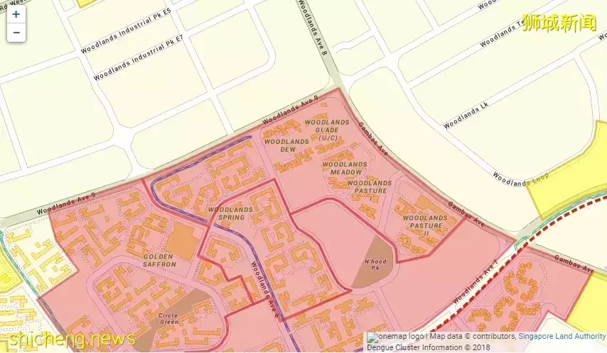新加坡又爆发一疫情!部长说处于紧急阶段!孕妇染病进了ICU,直呼太可怕