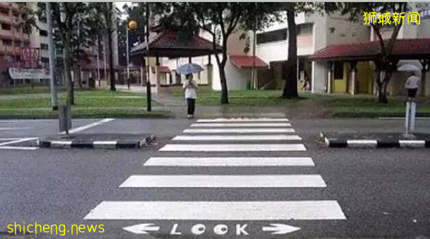 鬼畜!新加坡罚款“惊”的鸡过马路都得看绿灯