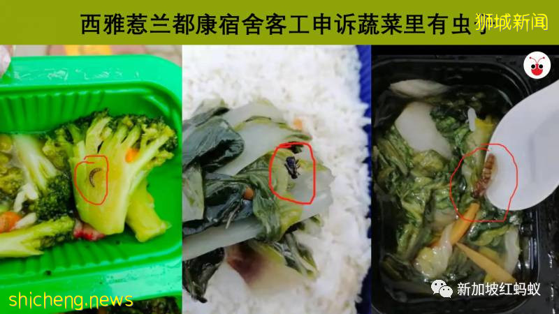 中國籍客工的宿舍夥食大改善！　新加坡人力部：該宿舍大多數客工未接種疫苗