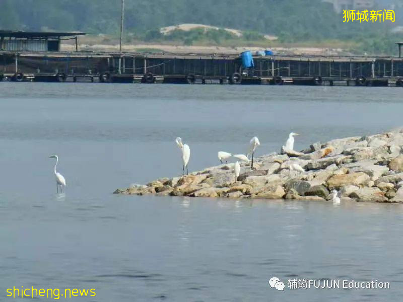 跟着小筠去游“新马”——新加坡吃喝玩乐(中篇)