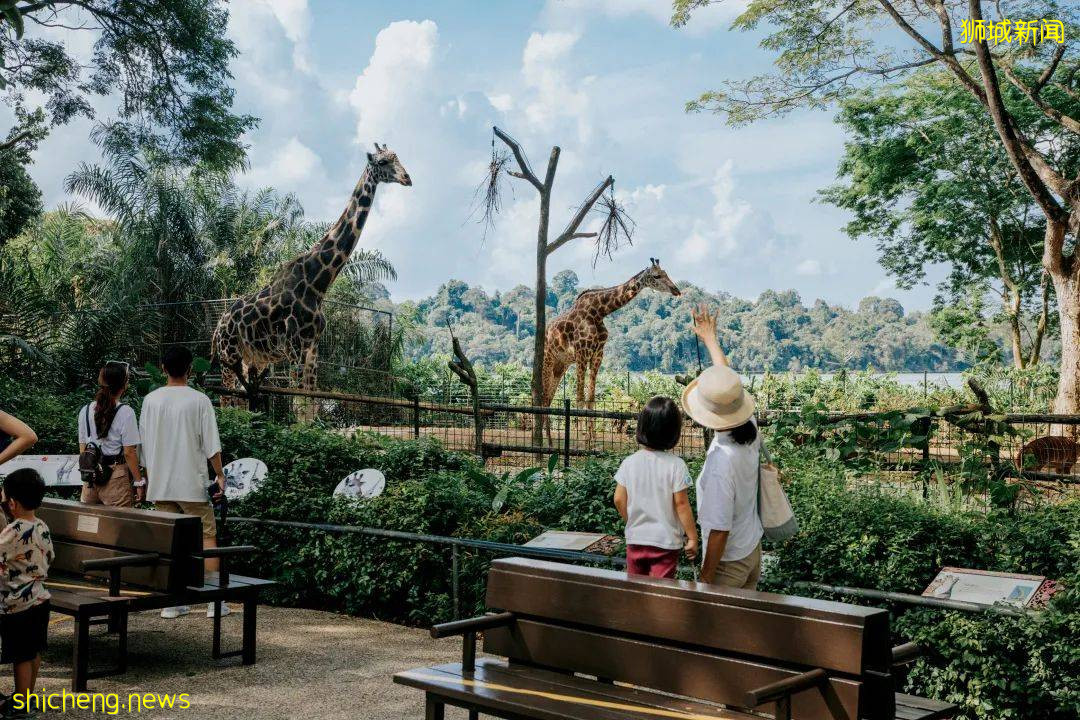 狮城游乐场,遛娃没烦恼