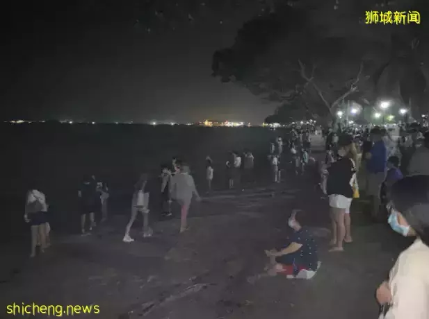 新加坡現“藍色螢光”海浪!這裏擠滿了人,沿路交通擁堵
