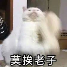 新加坡回中國的航班還是有人冠狀病毒陽性,我覺得原因是